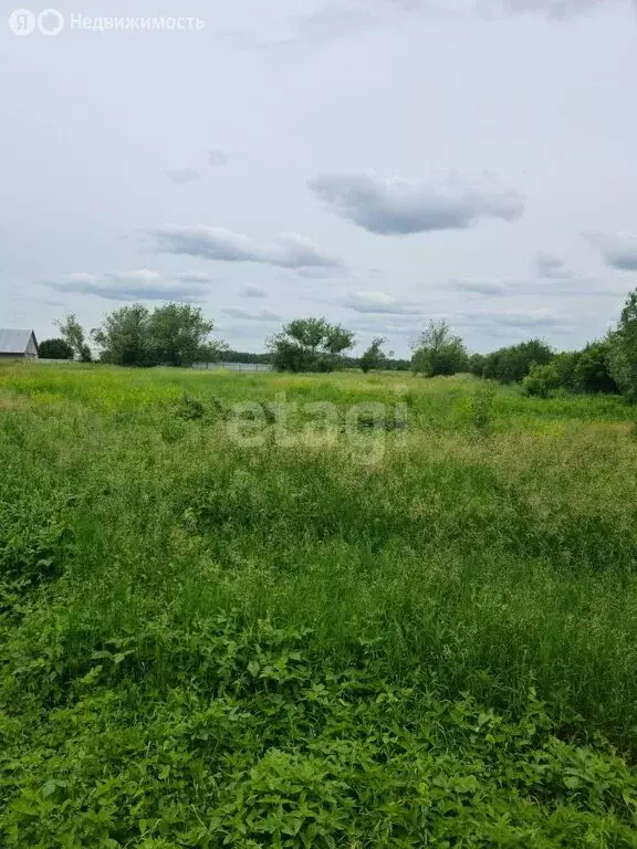Участок в село Точильное, Шоссейная улица (43.8 м) - Фото 0