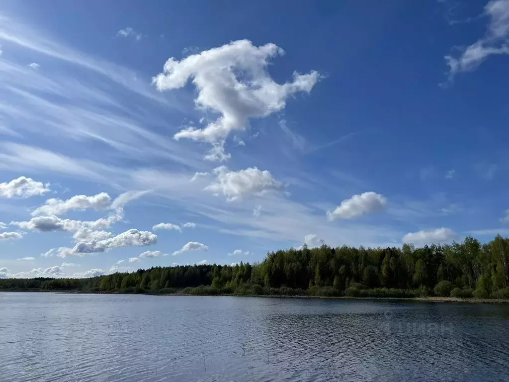 Участок в Московская область, Егорьевск муниципальный округ, д. ... - Фото 1