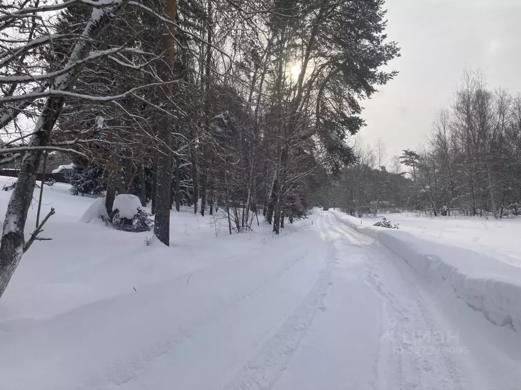 Участок в Московская область, Чехов муниципальный округ, д. Скурыгино  ... - Фото 1