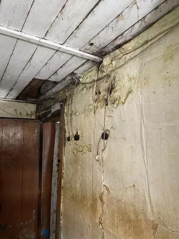 Помещение свободного назначения в Владимирская область, Ковровский ... - Фото 0