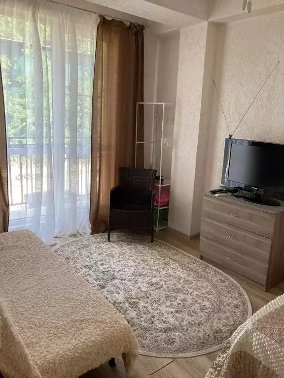 1-к кв. Краснодарский край, Сочи ул. Голенева, 17/4 (28.0 м) - Фото 0