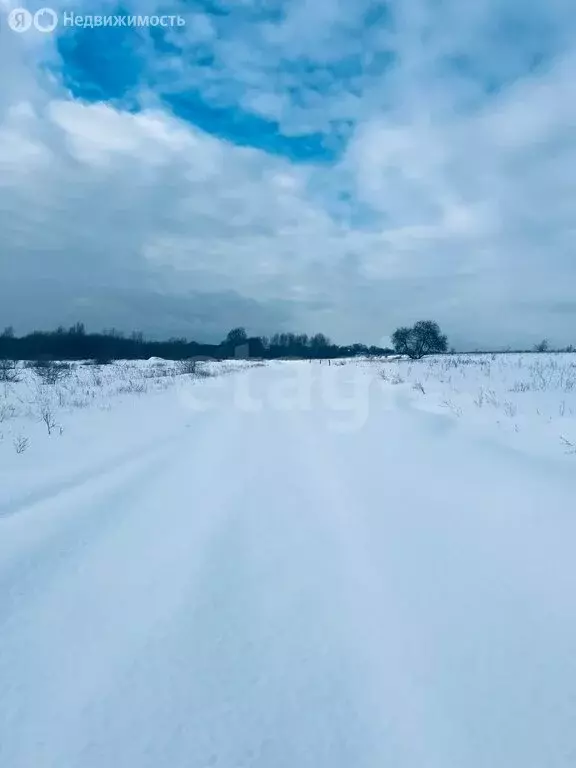 Участок в Калининградская область, Гвардейский муниципальный округ, ... - Фото 2