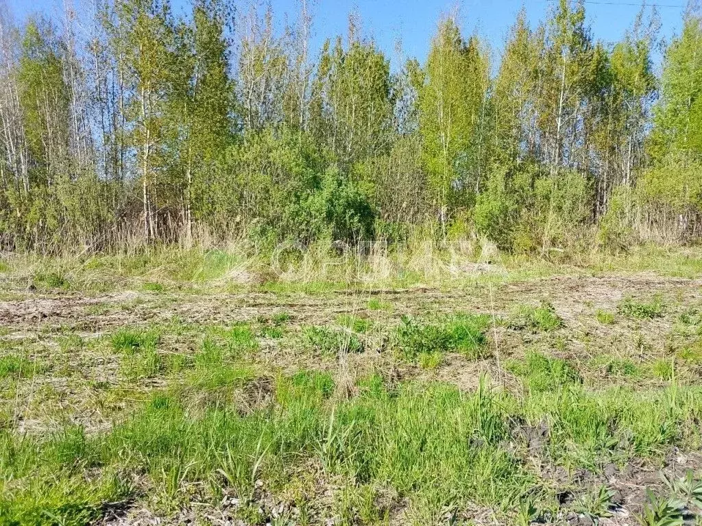 Участок в Тюменская область, Нижнетавдинский муниципальный округ, ... - Фото 1