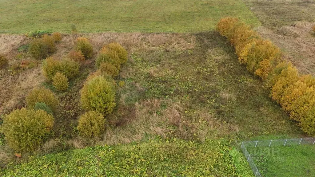 Участок в Московская область, Волоколамский муниципальный округ, с. ... - Фото 1