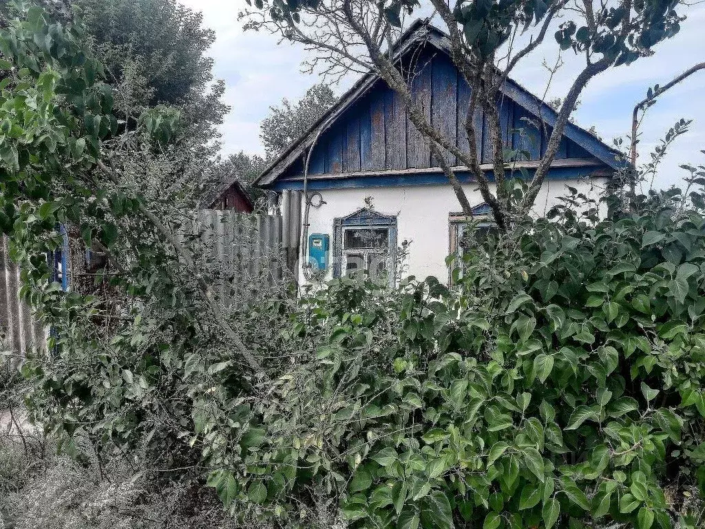 Участок в Белгородская область, Поселок Чернянка городское поселение, ... - Фото 2