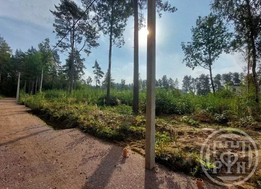 Участок в Ленинградская область, Выборгский район, Полянское с/пос, ... - Фото 1