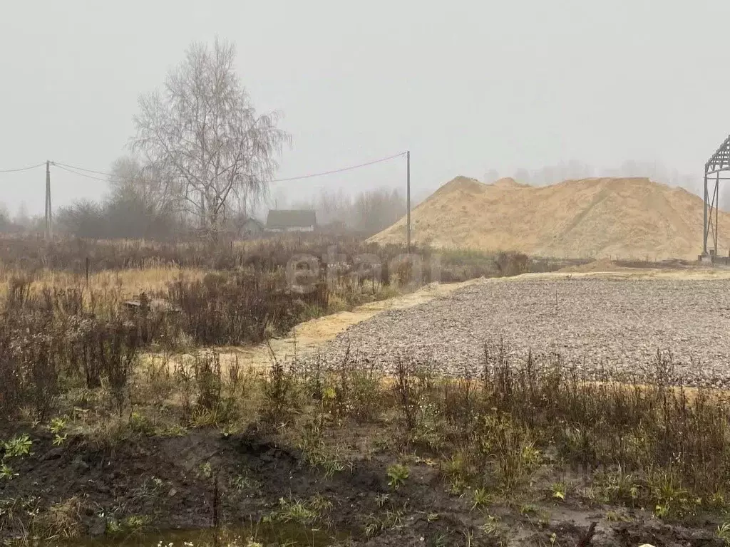 Участок в Брянская область, Брянский район, Добрунское с/пос, Добрунь ... - Фото 2