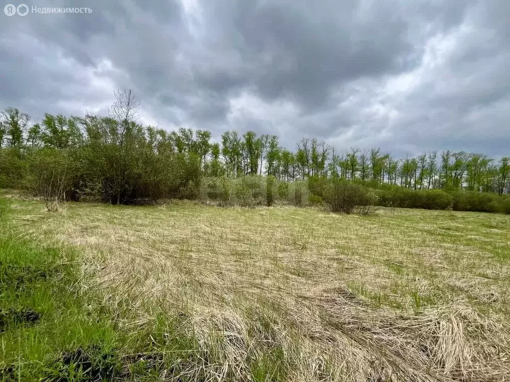 Участок в Республика Мордовия, городской округ Саранск, посёлок ... - Фото 1
