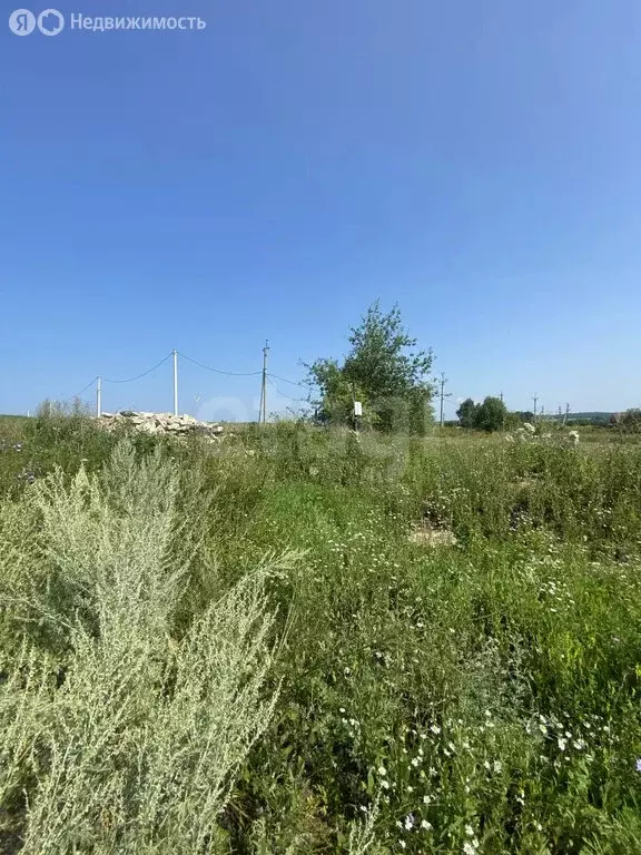Участок в село Николаевка, улица Мира (17.42 м) - Фото 2
