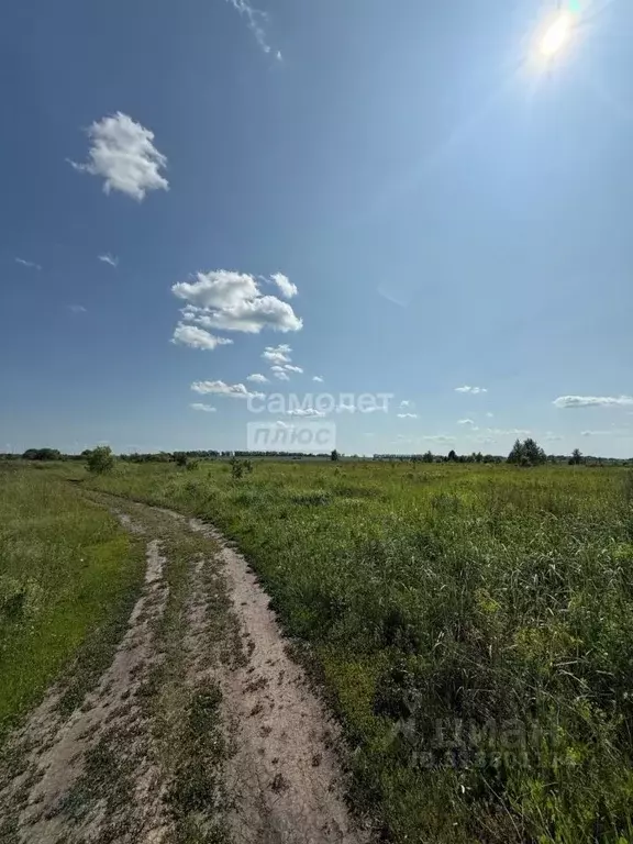 Участок в Пензенская область, Кузнецк Начальный проезд (15.0 сот.) - Фото 0