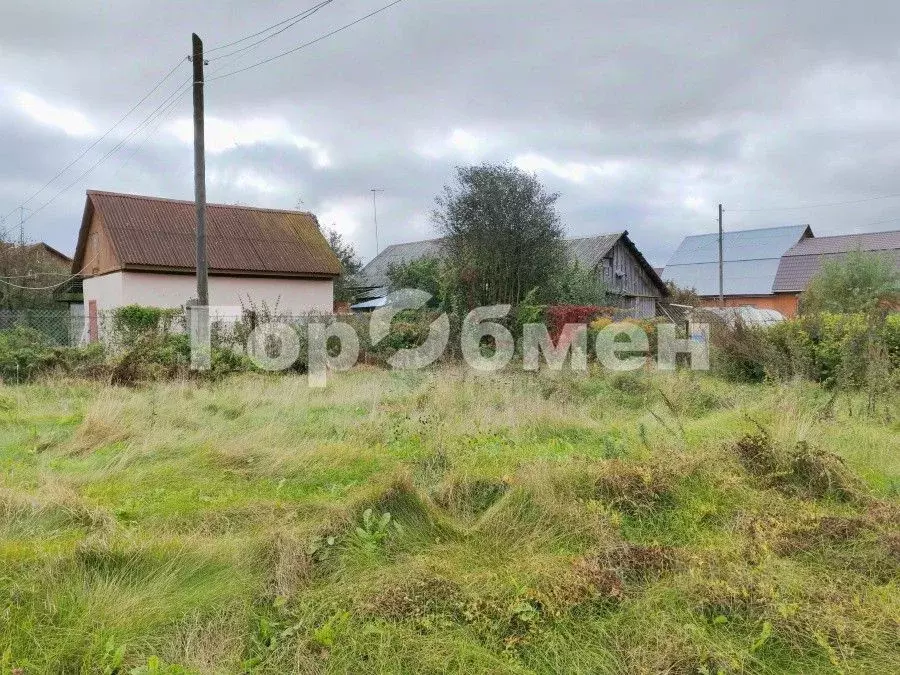 Участок в Московская область, Щелково городской округ, д. Огуднево 99 ... - Фото 2