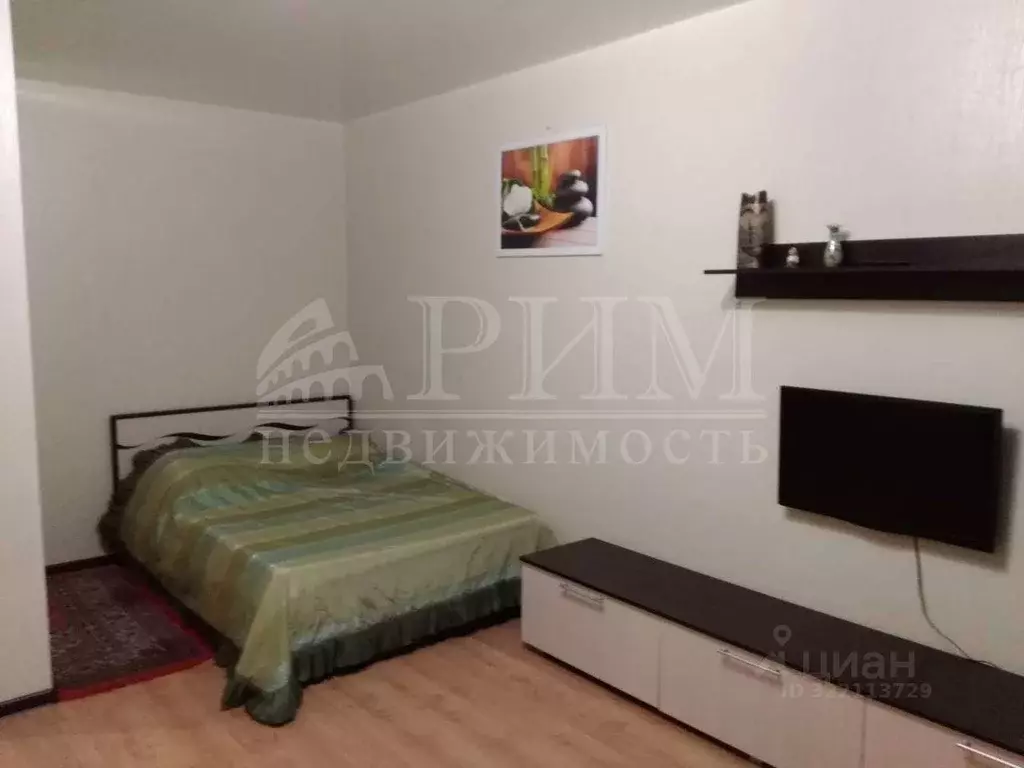 1-к кв. Пензенская область, Пензенский район, Засечный сельсовет, с. ... - Фото 2