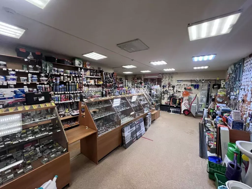 Помещение свободного назначения в Владимирская область, Владимир ... - Фото 2