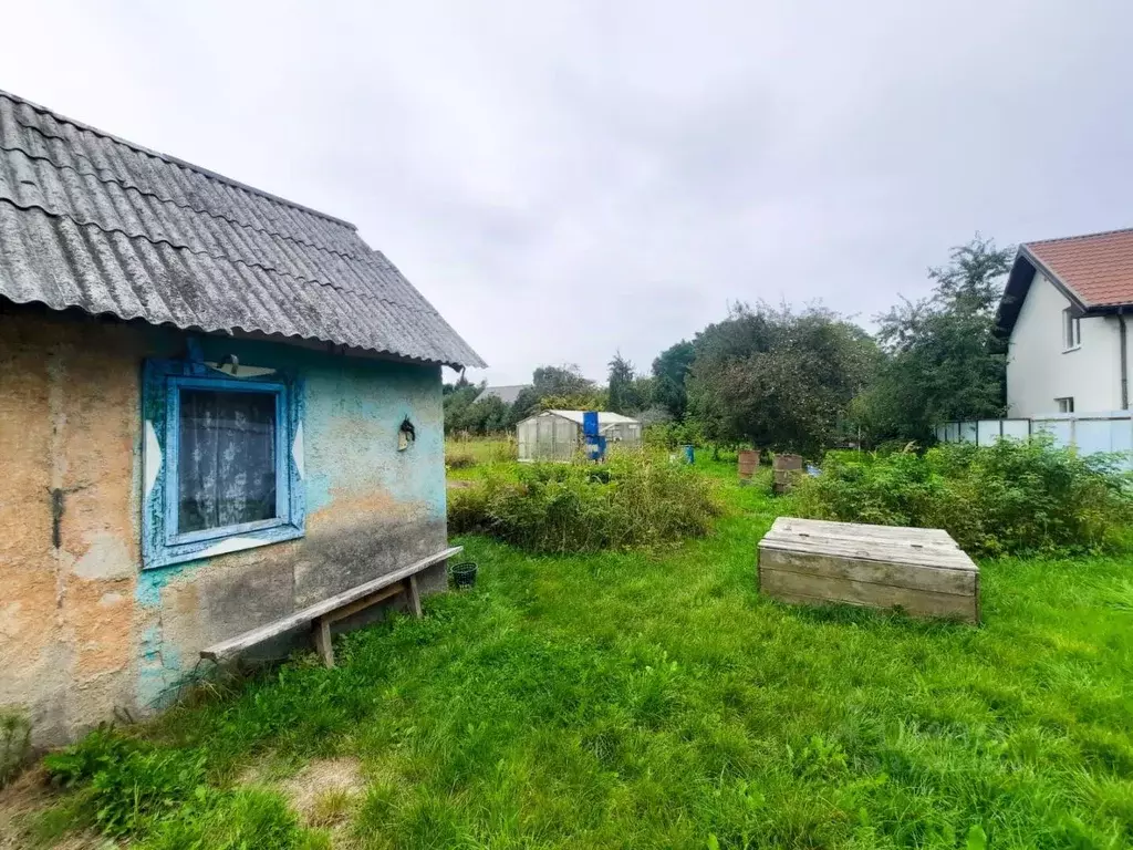 Участок в Калининградская область, Калининград Искра ТСН, ул. ... - Фото 2