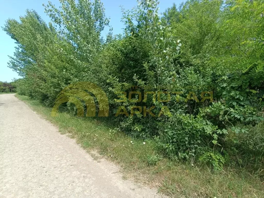 Участок в Краснодарский край, Абинский район, Мингрельское с/пос, ... - Фото 1