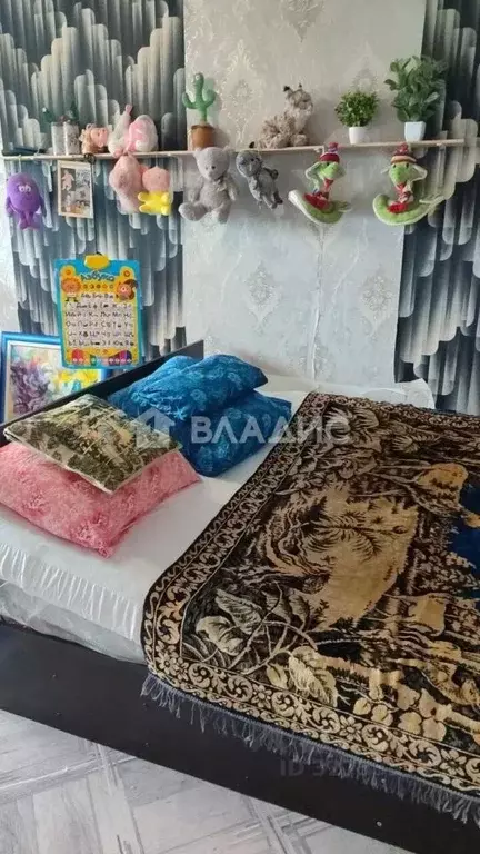 1-к кв. Московская область, Шатура муниципальный округ, с. Пышлицы 29 ... - Фото 2