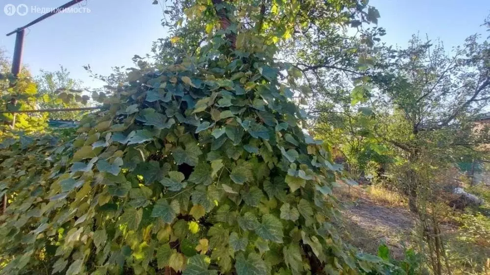 Дом в Пятигорск, Степная улица (65 м) - Фото 1