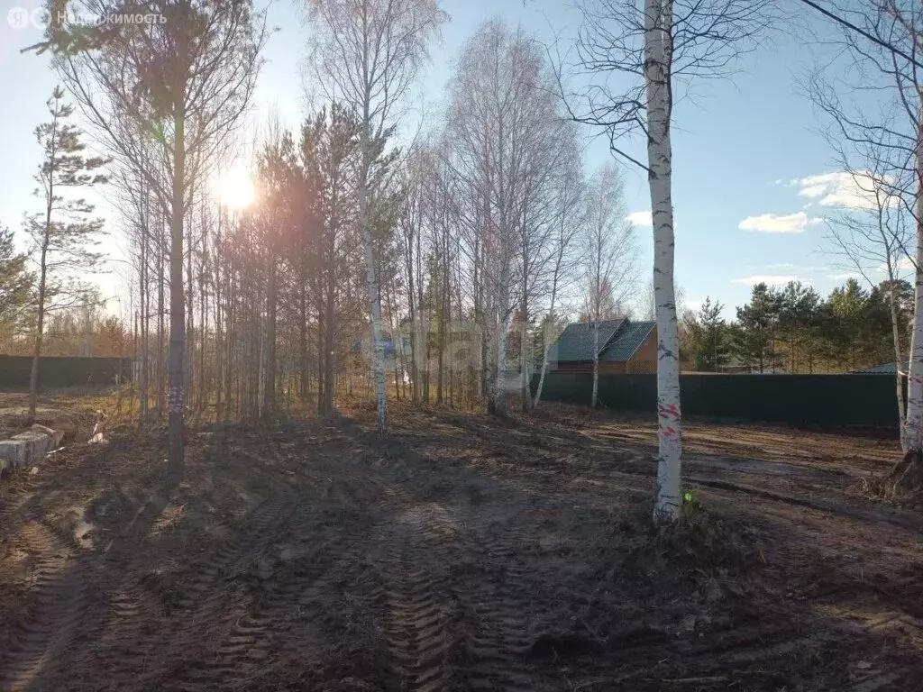 Участок в Тюменская область, Нижнетавдинский муниципальный округ, СТ ... - Фото 2