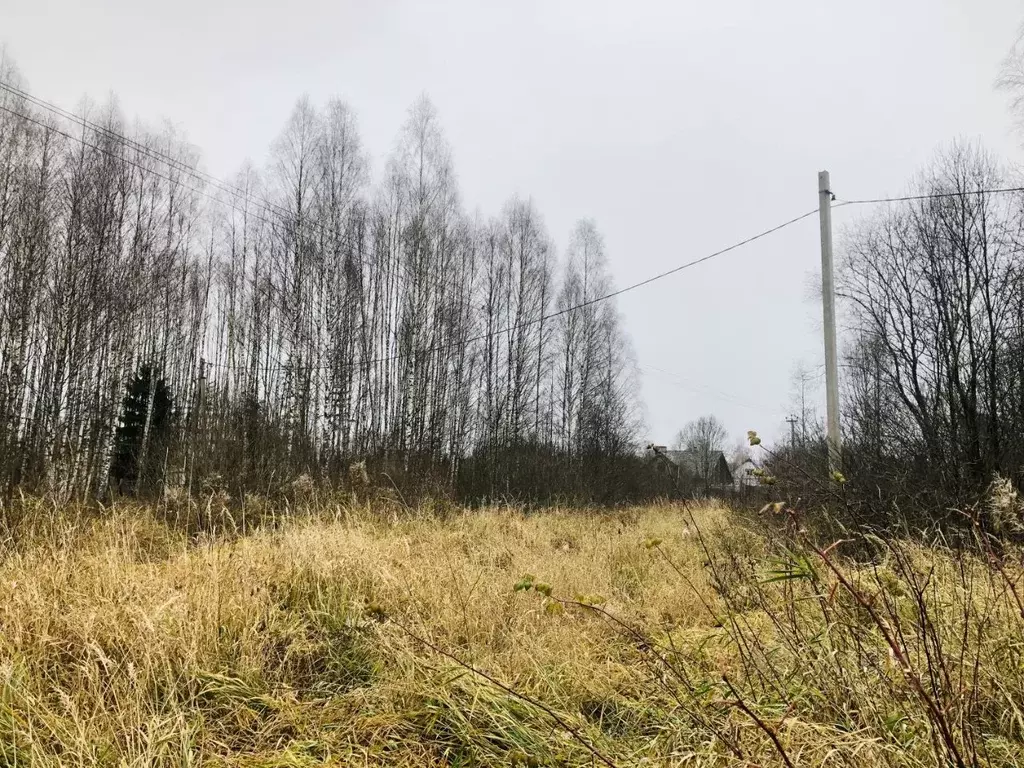 Участок в Смоленская область, Смоленский район, д. Телеши ул. ... - Фото 2