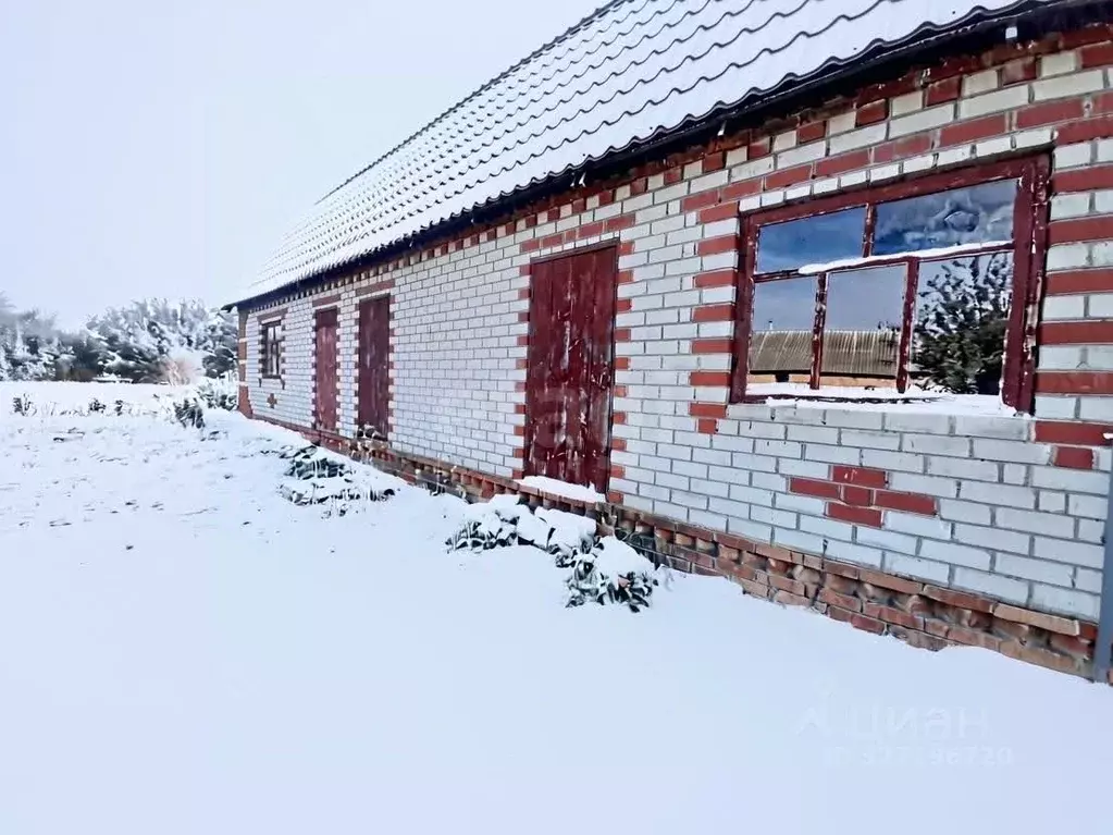 Участок в Белгородская область, Валуйки Молодежный пер. (15.5 сот.) - Фото 1