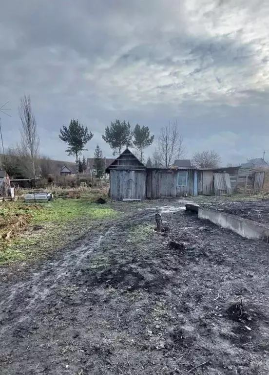 Участок в Кемеровская область, Новокузнецкий муниципальный округ, с. ... - Фото 1