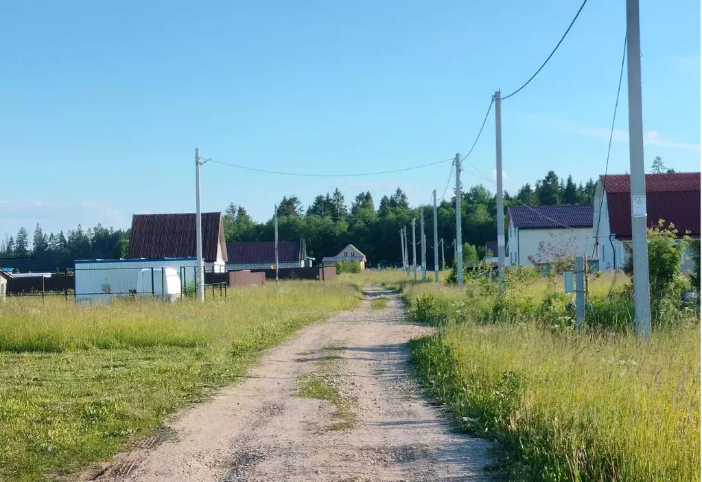 Участок в Ленинградская область, Волосовский район, Клопицкое с/пос, ... - Фото 0