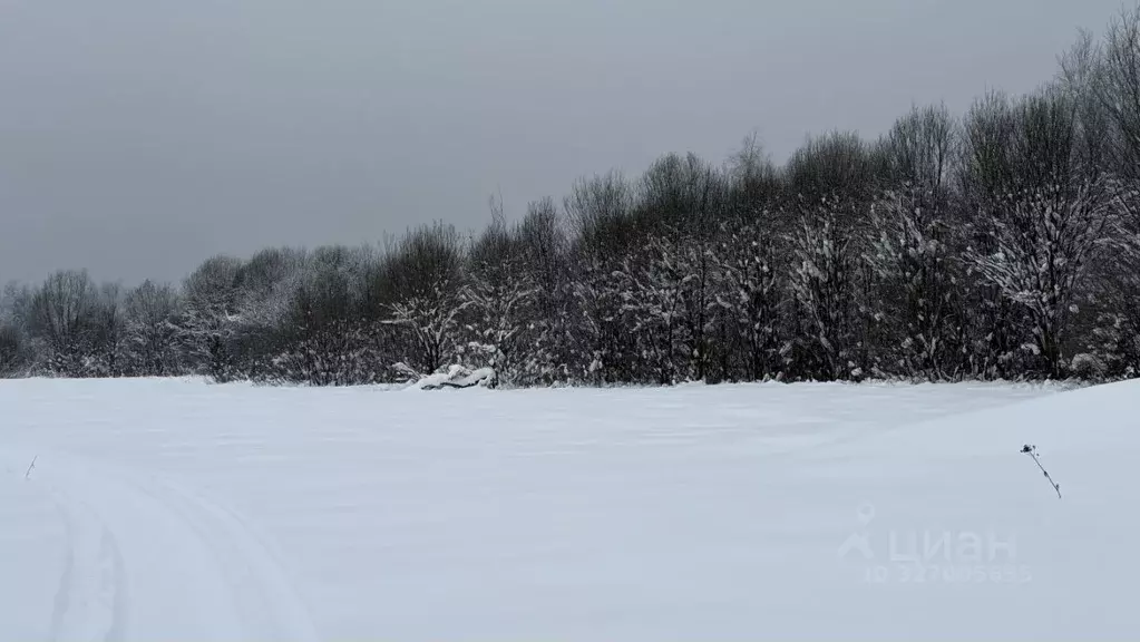 Участок в Тверская область, Калязинский муниципальный округ, д. ... - Фото 2