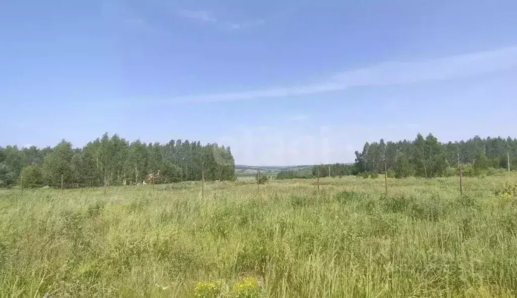 Участок в Татарстан, Зеленодольский район, Большекургузинское с/пос, ... - Фото 1