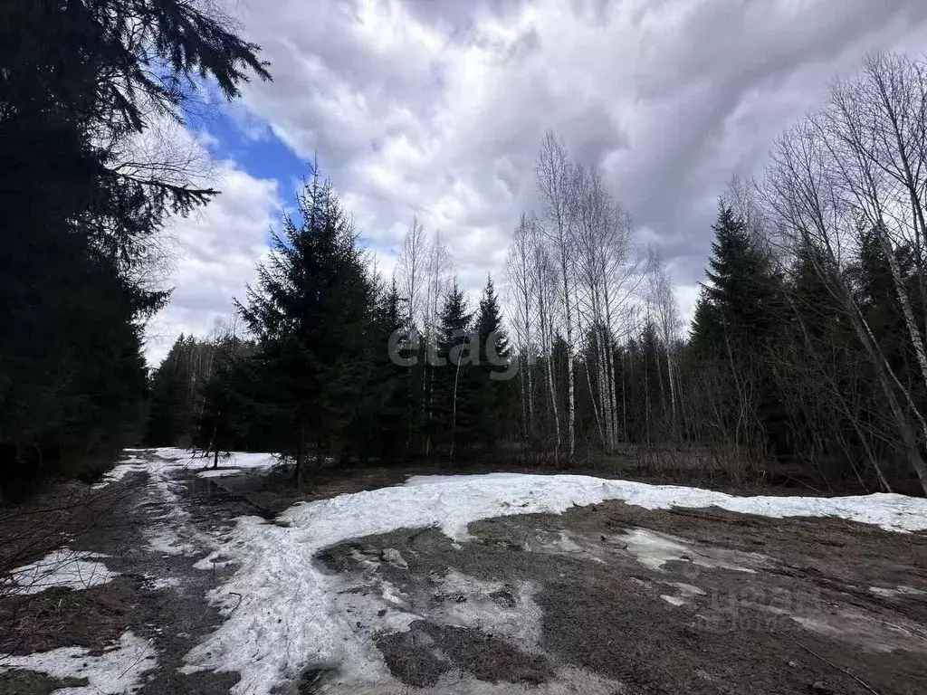 Участок в Московская область, Клин городской округ, д. Владимировка ... - Фото 1