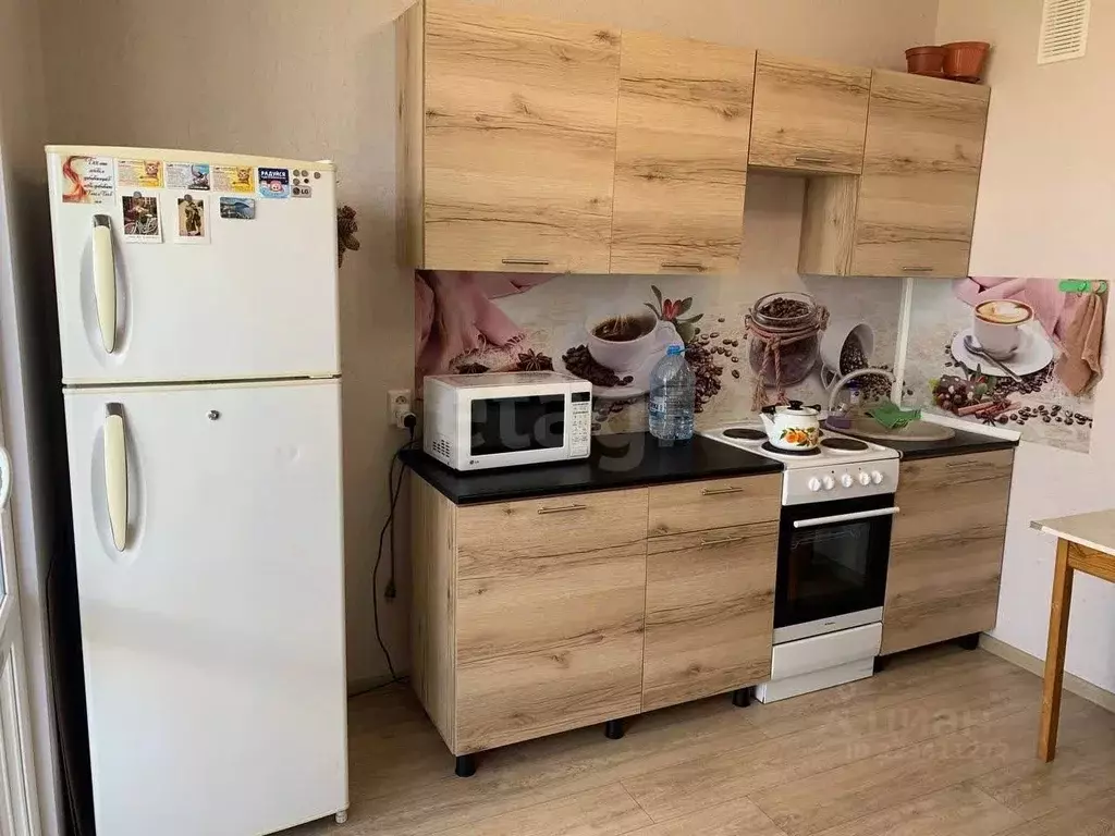 1-к кв. Воронежская область, Новоусманский район, пос. Отрадное ул. ... - Фото 1