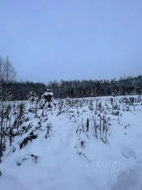 Участок в Московская область, Пушкинский городской округ, Жюльверн кп  ... - Фото 1