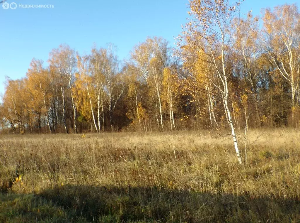 Участок в Московская область, муниципальный округ Чехов, село Новый ... - Фото 1