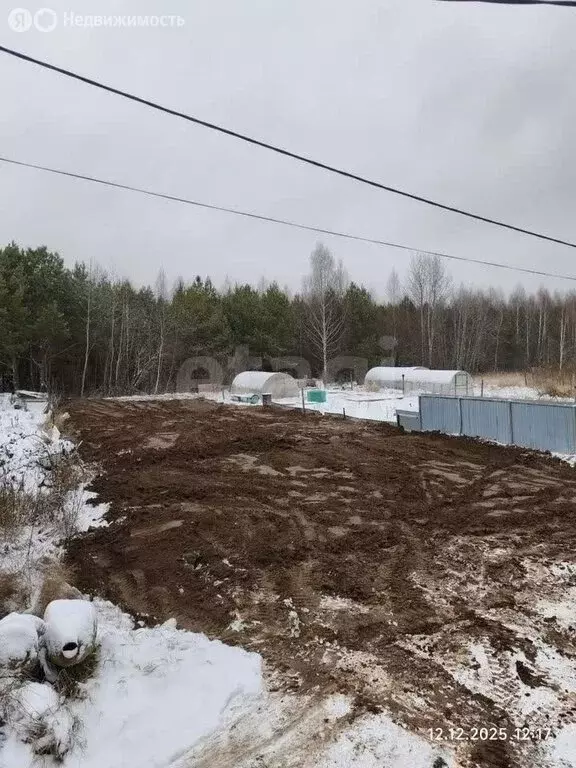 Участок в Казань, СНТ Поиск (4.4 м) - Фото 2