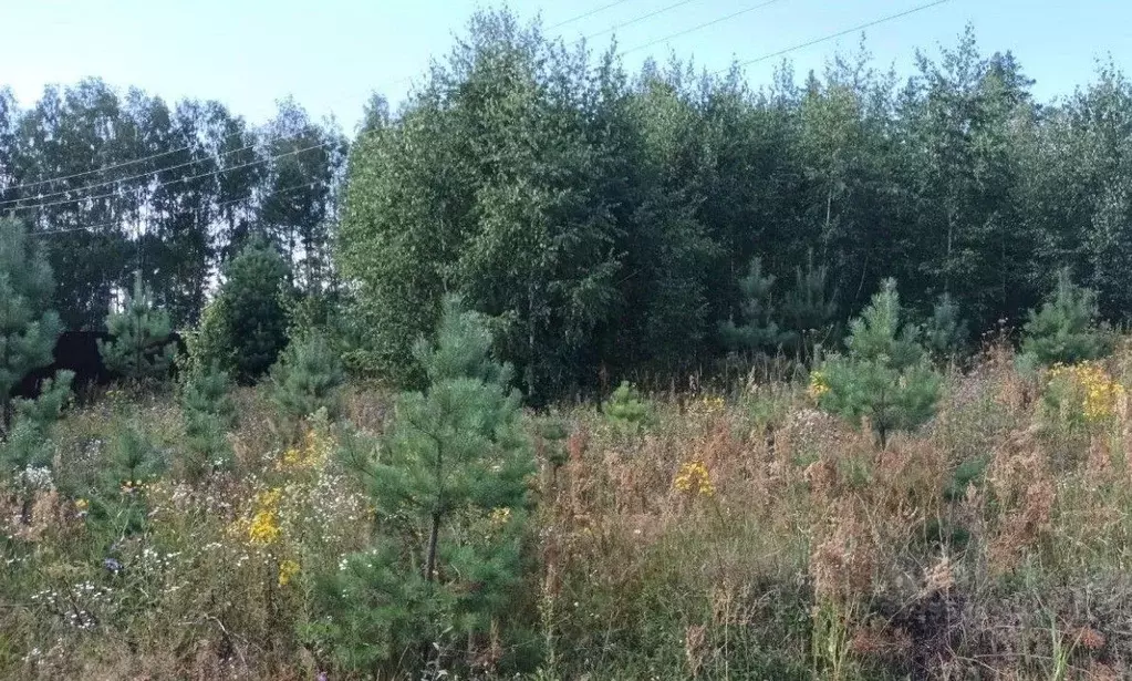 Участок в Московская область, Лосино-Петровский городской округ, д. ... - Фото 0