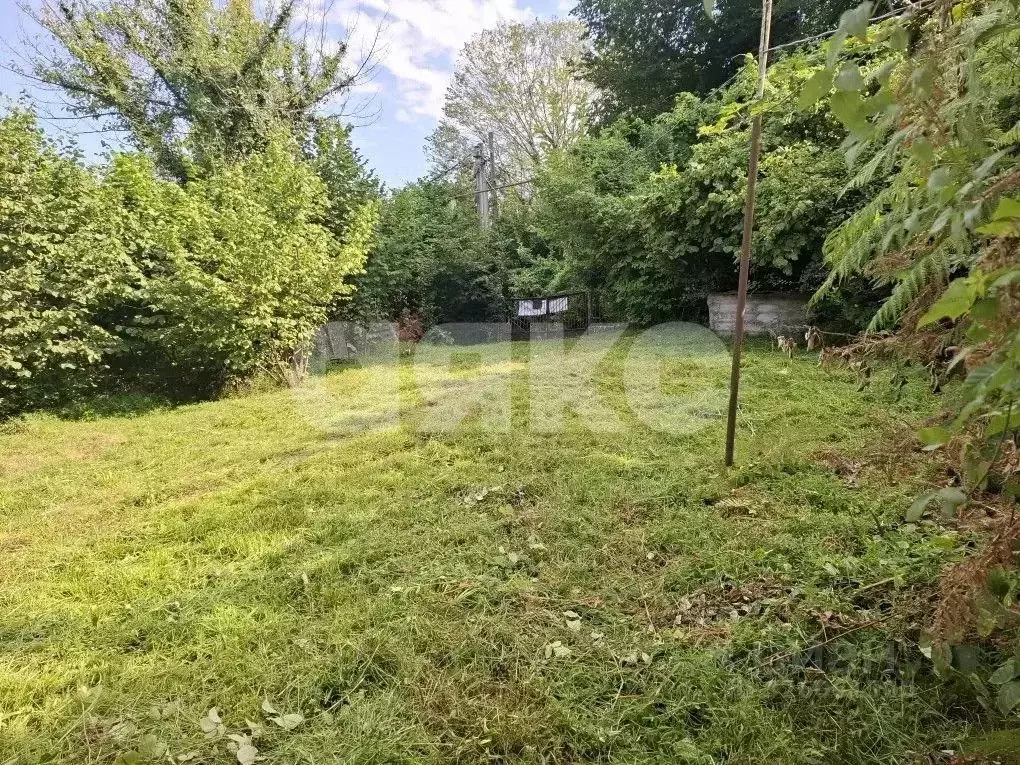 Участок в Краснодарский край, Сочи городской округ, с. Прогресс ул. ... - Фото 2