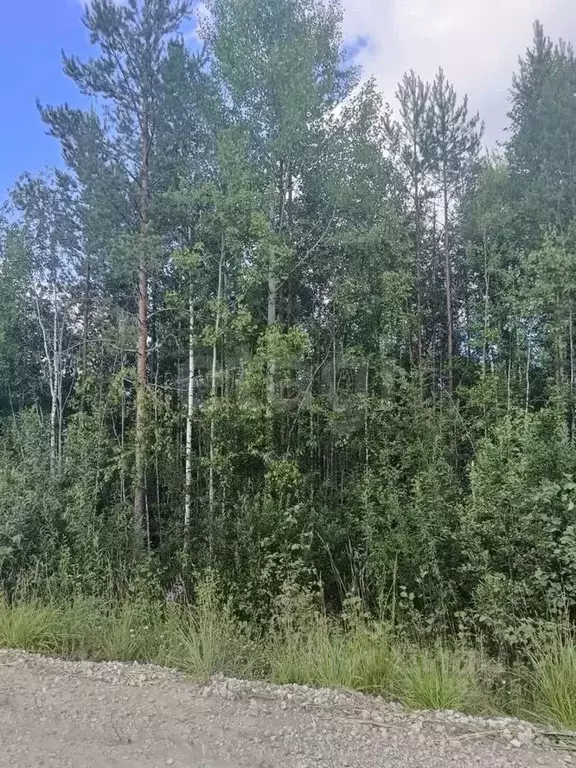 Участок в Коми, Сыктывкар городской округ, Верхняя Максаковка пгт, ... - Фото 1