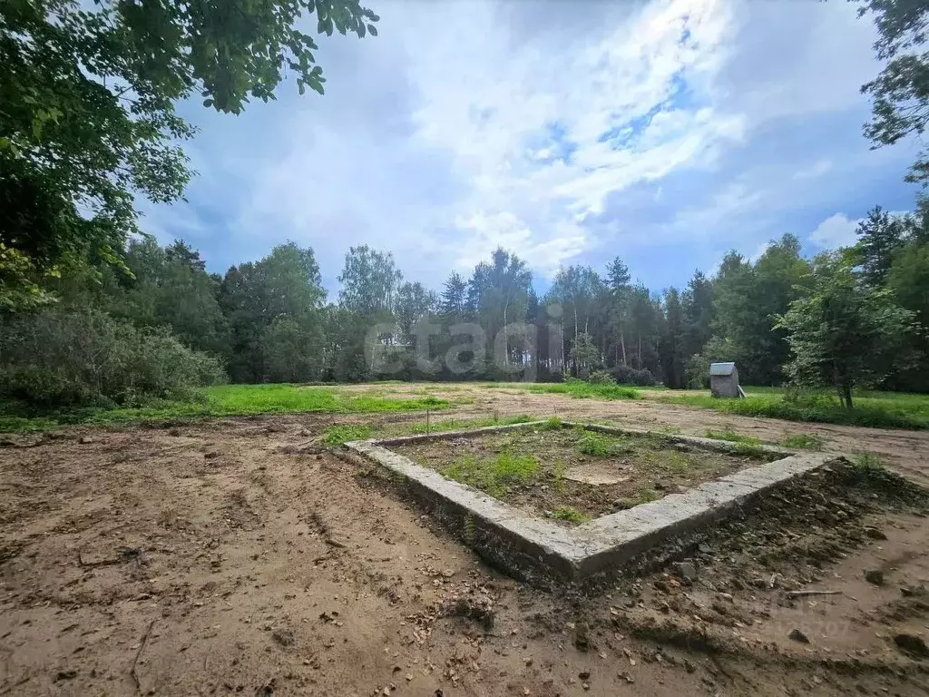 Участок в Владимирская область, Покров городской округ, д. Киржач ул. ... - Фото 1