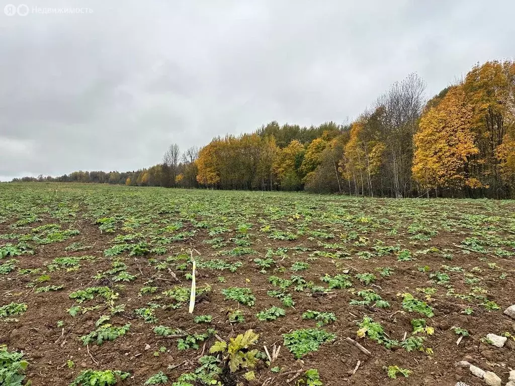 Участок в Московская область, городской округ Клин, коттеджный поселок ... - Фото 0