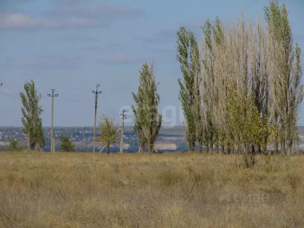 Участок в Волгоградская область, Среднеахтубинский район, ... - Фото 0
