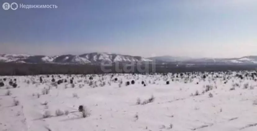 Участок в Айский сельсовет, территория Черемшанка (10 м) - Фото 1