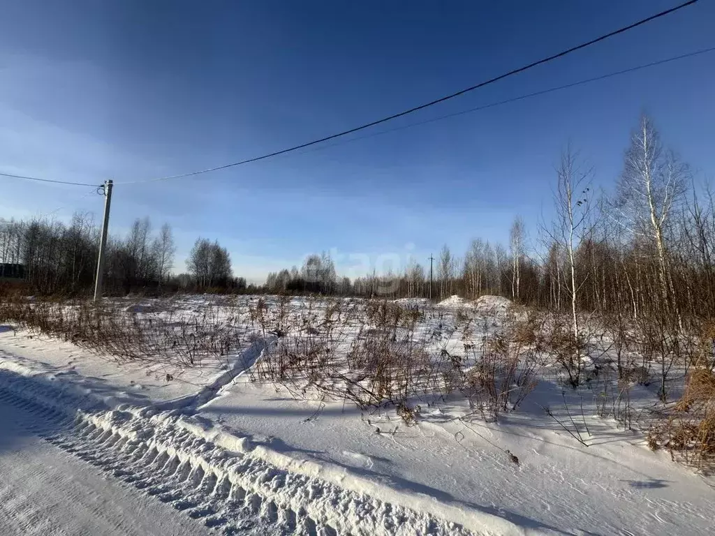 Участок в Новосибирская область, Новосибирский район, Барышевский ... - Фото 1