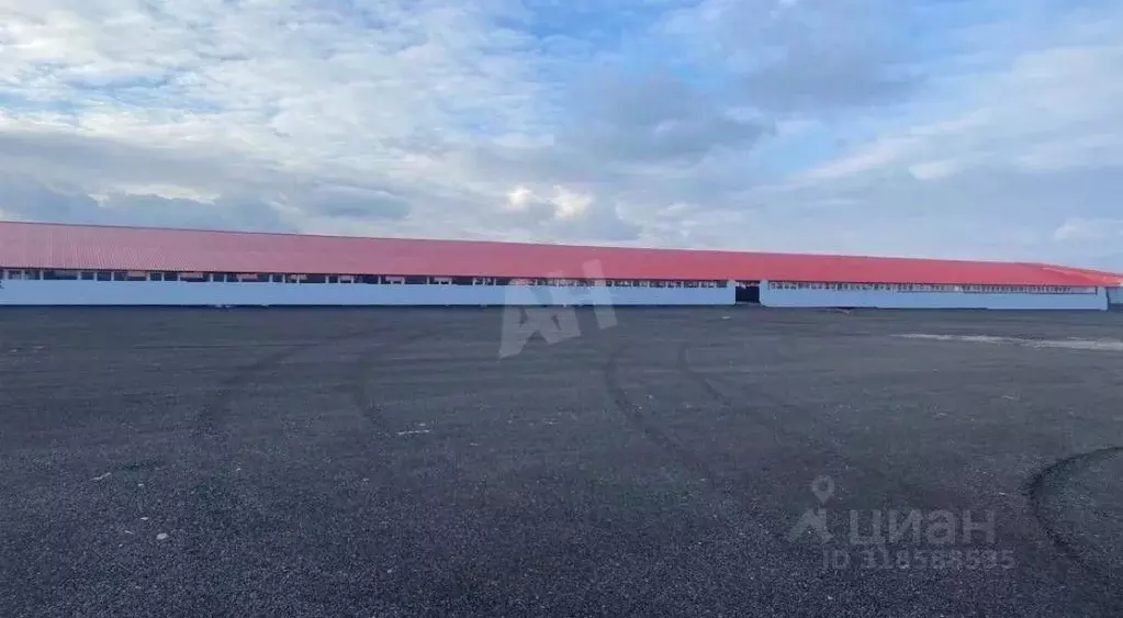 Склад в Московская область, Кашира городской округ, д. Барабаново ул. ... - Фото 1