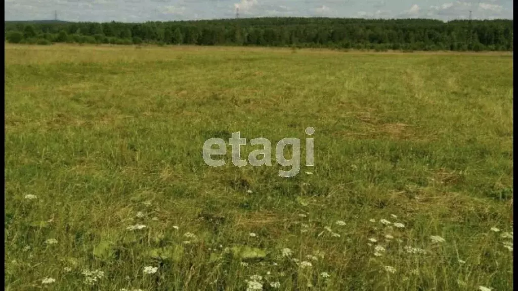 Участок в Свердловская область, Нижний Тагил ул. Фаины Шаруновой ... - Фото 1