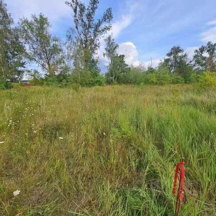 Участок в Белгородская область, Белгородский район, Новосадовское ... - Фото 2