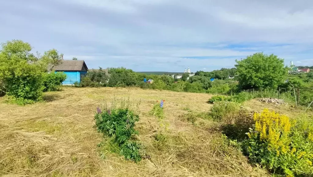 Дом в Калужская область, Козельск ул. Орджоникидзе, 11 (65 м) - Фото 2
