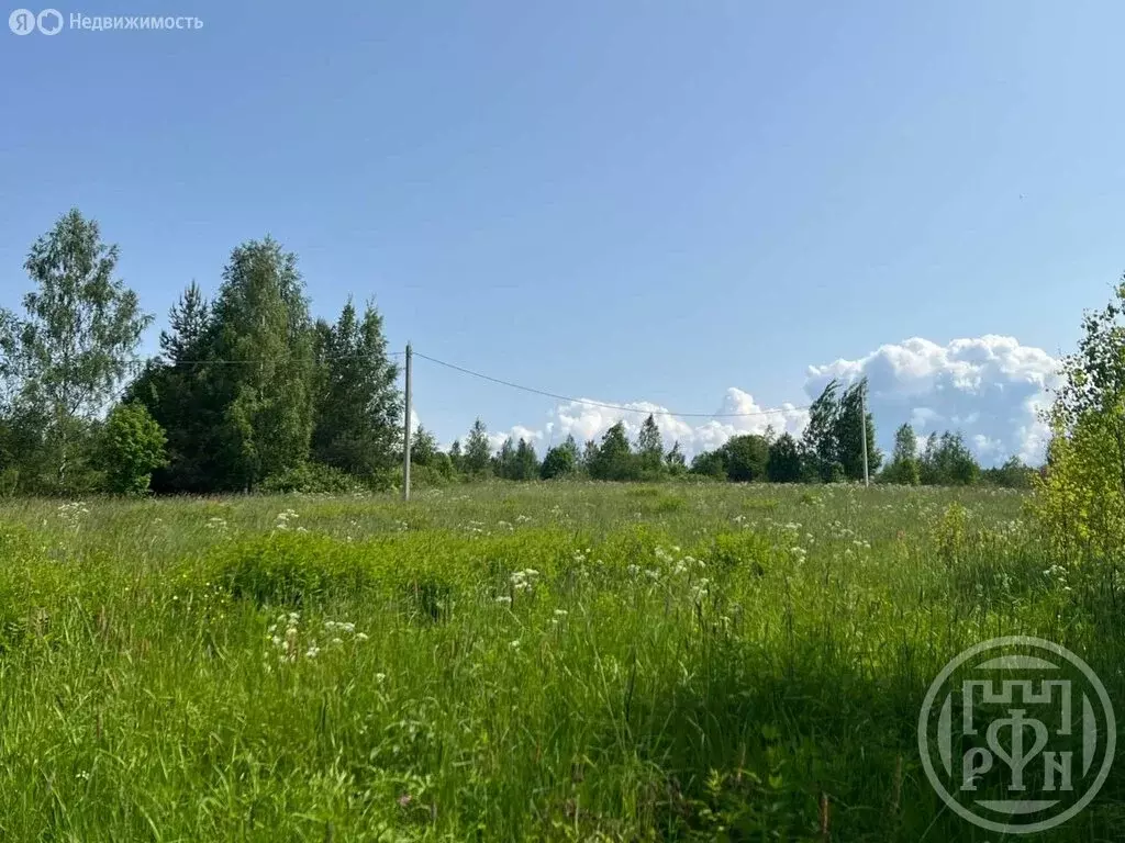 Участок в Кингисеппский район, деревня Нежново (20 м) - Фото 0