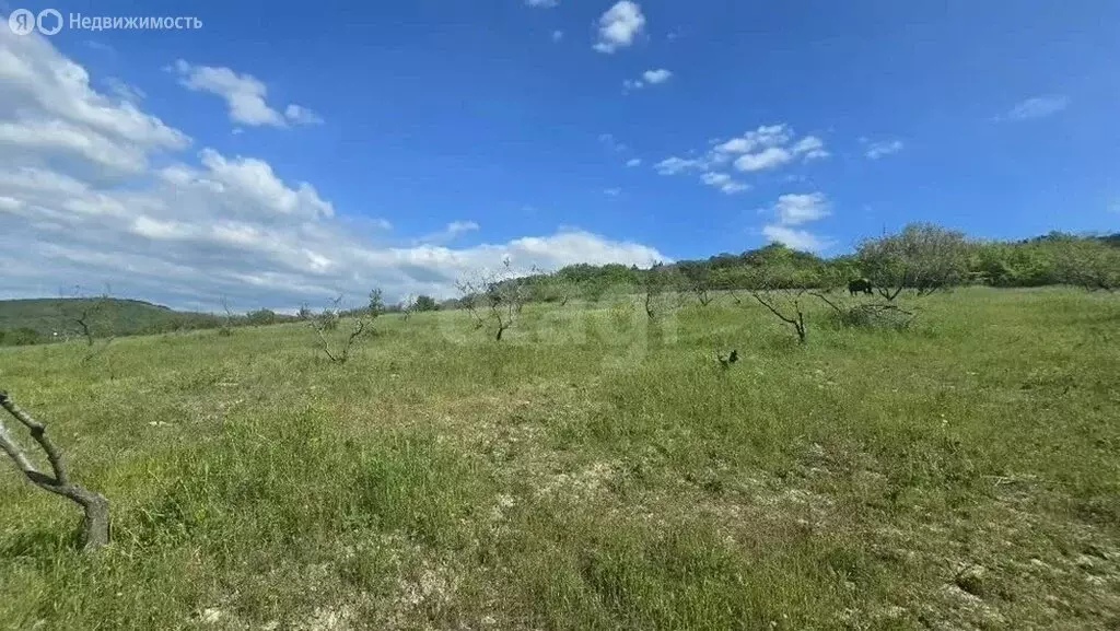 Участок в Краснодарский край, муниципальный округ Анапа, село Супсех ... - Фото 2