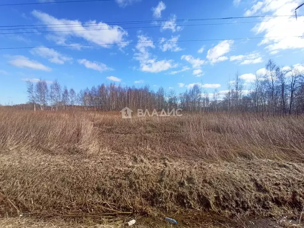 Купить Участок Ижс В Калининградской Области