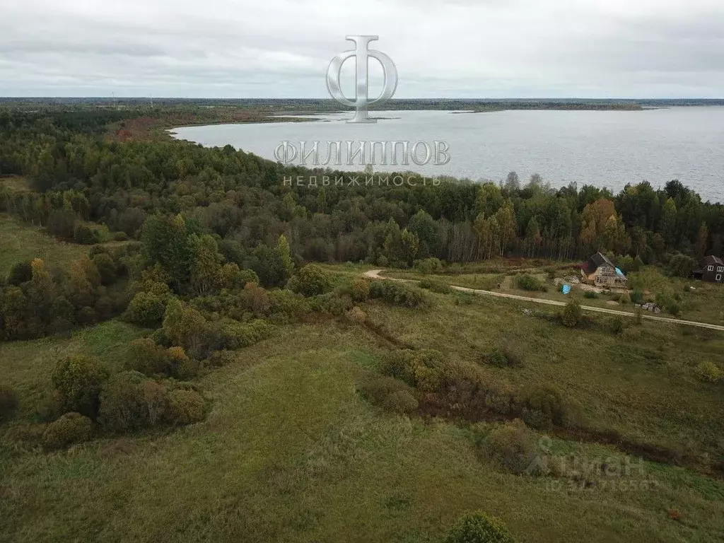 Участок в Новгородская область, Боровичский район, Железковское с/пос, ... - Фото 1