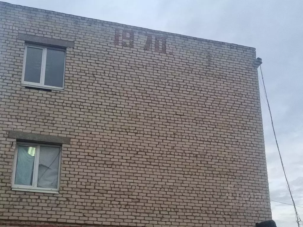 Помещение свободного назначения в Самарская область, Тольятти ул. ... - Фото 0